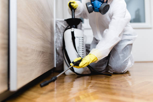 Best Termite Control Services  in Perry Park, CO