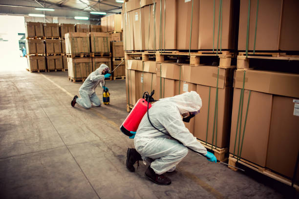 Pest Prevention Services in Perry Park, CO