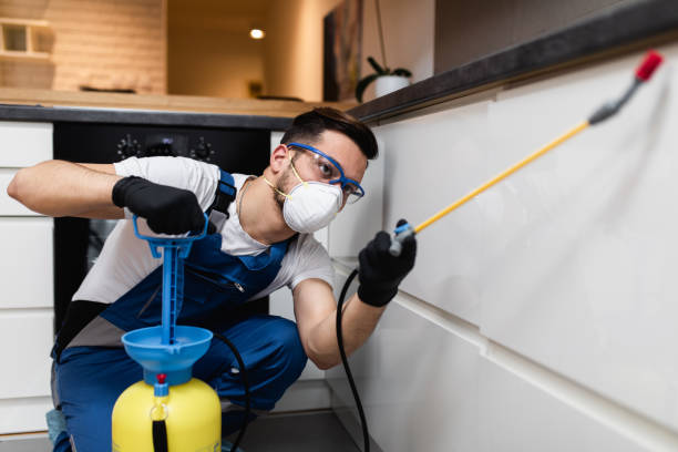 Best Pest Removal Services  in Perry Park, CO