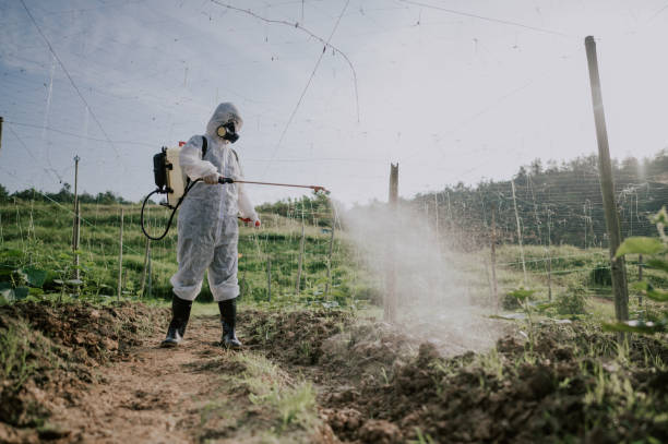 Best Local Pest Control Services  in Perry Park, CO