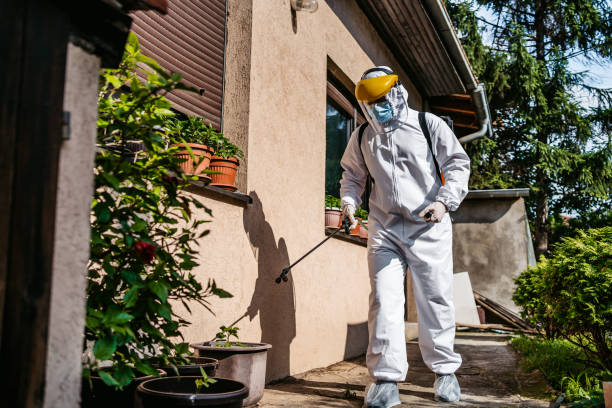 Best Emergency Pest Control  in Perry Park, CO