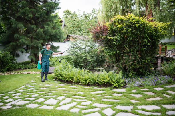 Wasp Removal Services in Perry Park, CO